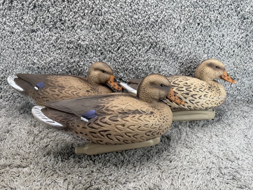 Flambeau Storm Front Mallard Hen Duck Decoys Lot of 3 Female Waterfowl Hunting